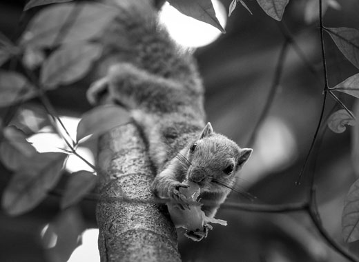 神奇的DDOS接单平台